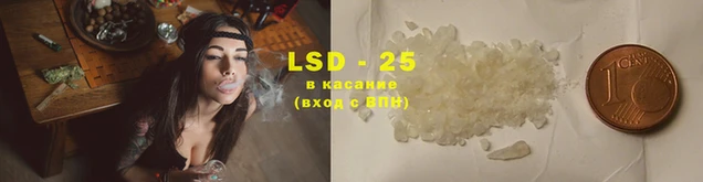 ГАЛЛЮЦИНОГЕННЫЕ ГРИБЫ Баксан