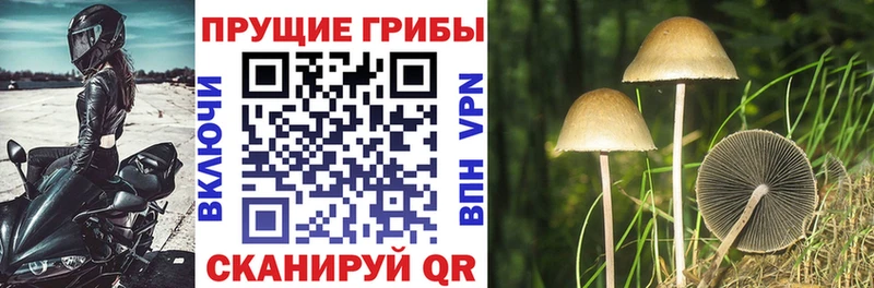 Галлюциногенные грибы мухоморы  Гагарин 
